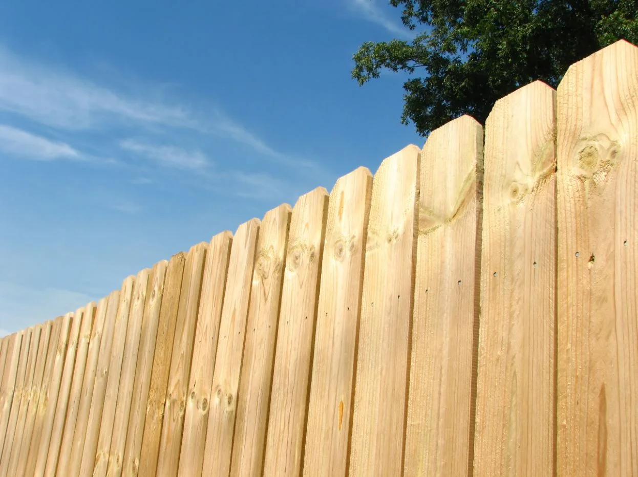 fence